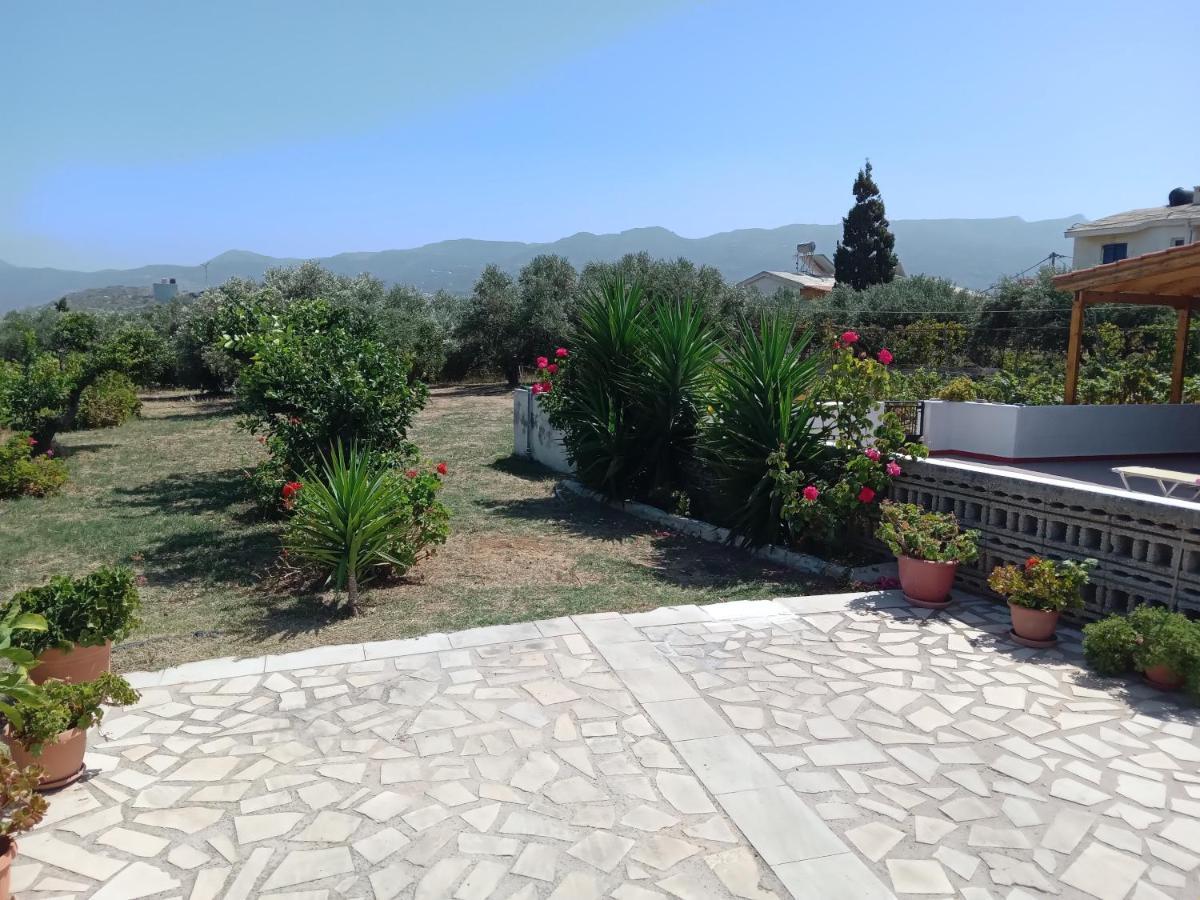 Villa Ampelia ซิเตีย ภายนอก รูปภาพ